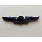 Indonesian Military TNI AD Para Dasar Parachutist Wing Subdued Black Badge
