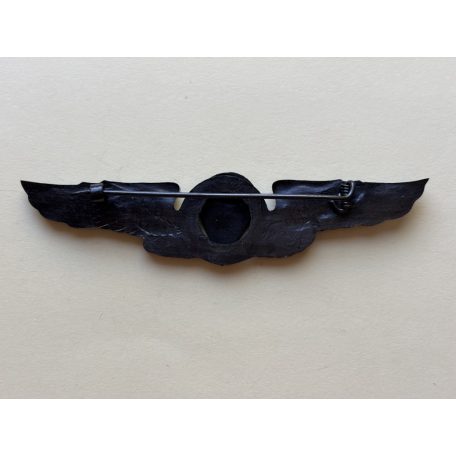 Indonesian Military TNI AD Para Dasar Parachutist Wing Subdued Black Badge