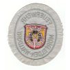   Mörfelden-Walldorf City Germany Feuerwehr/ Fire Department Patch