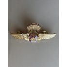 Indonesian Army Military Para Airborne Wings Badge  