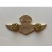 Indonesian Army Military Para Airborne Wings Badge  