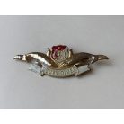 Indonesia Police Scuba Diver Badge