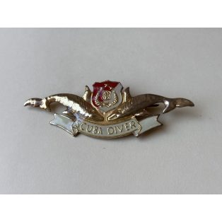 Indonesia Police Scuba Diver Badge