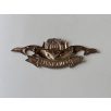 Indonesia Police Scuba Diver Badge