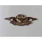 Indonesia Police Scuba Diver Badge