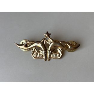 Indonesia Navy Seals Scuba Diver Bintang with 1 Star Badge