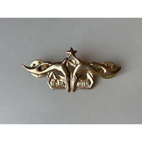 Indonesia Navy Seals Scuba Diver Bintang with 1 Star Badge