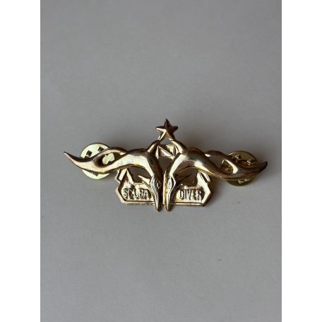 Indonesia Navy Seals Scuba Diver Bintang with 1 Star Badge