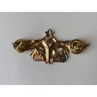 Indonesia Navy Seals Scuba Diver Bintang with 1 Star Badge