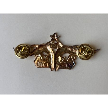 Indonesia Navy Seals Scuba Diver Bintang with 1 Star Badge