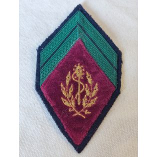   France French Health Service and Foreign Legion Corporal Chief Rank Patch