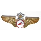 Taiwan- Senior Glider Pilot Badge (Gold)