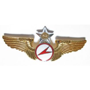 Taiwan- Senior Glider Pilot Badge (Gold)