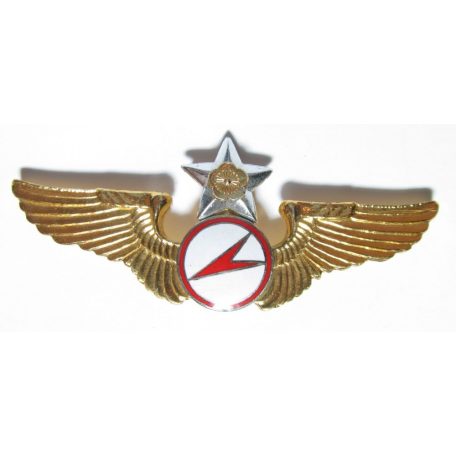 Taiwan- Senior Glider Pilot Badge (Gold)