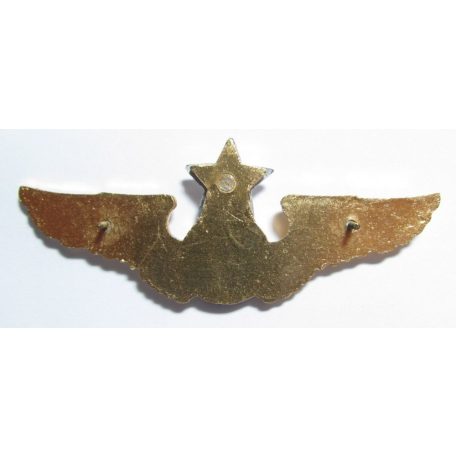 Taiwan- Senior Glider Pilot Badge (Gold)