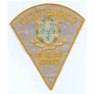 Connecticut Baldwin Bridge Police Patch