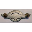 Argentine Military Airborne Parachute Wings Badge