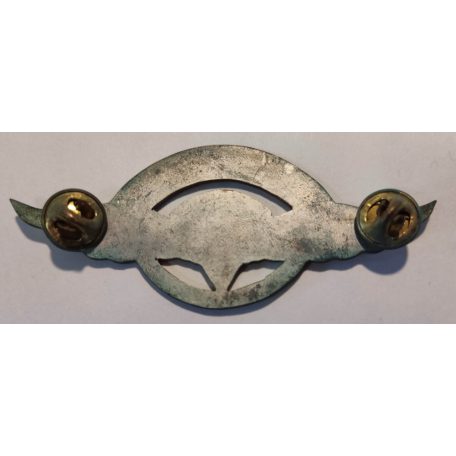 Argentine Military Airborne Parachute Wings Badge