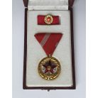 Hungarian Order of Excellent Service Medal Set 