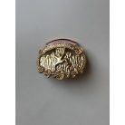 Indonesia Pendaki Serbu Ranger Badge