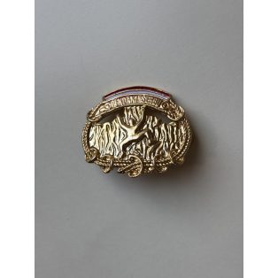 Indonesia Pendaki Serbu Ranger Badge