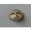 Indonesia Pendaki Serbu Ranger Badge