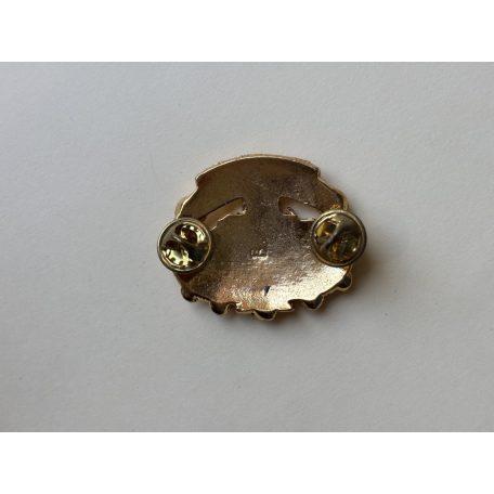 Indonesia Pendaki Serbu Ranger Badge