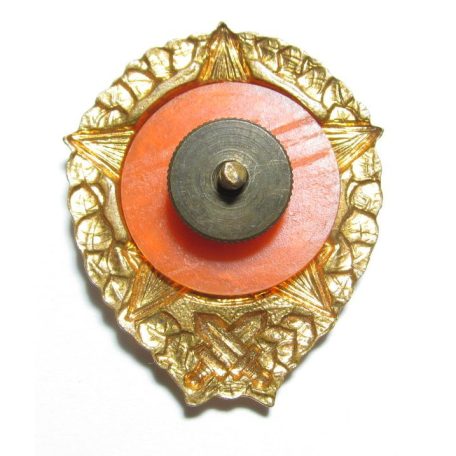 Czechoslovakia Excellent Solider Badge (Enameled)