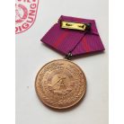 East German Civil Defence Zivilverteidigung der DDR Medal with award certificate