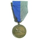 Civil War Service Navy Medal 1861-1865