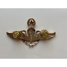 Indonezian Army Brevet Jump Master Madya Badge