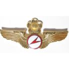 Taiwan- Commander Glider Pilot Badge (Gold)