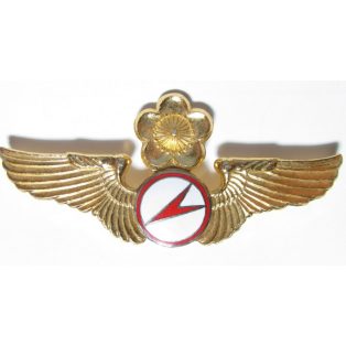 Taiwan- Commander Glider Pilot Badge (Gold)