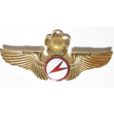 Taiwan- Commander Glider Pilot Badge (Gold)