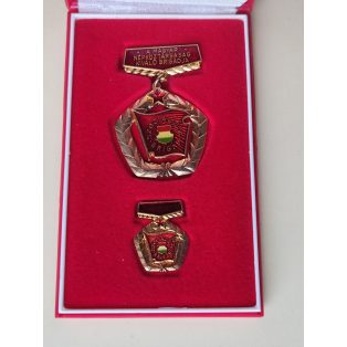   rare Excellent Brigade of the Hungarian People's Republic Badge Set - NOT THE SIMPLE BRIGADE version!!!