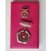   rare Excellent Brigade of the Hungarian People's Republic Badge Set - NOT THE SIMPLE BRIGADE version!!!