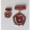   rare Excellent Brigade of the Hungarian People's Republic Badge Set - NOT THE SIMPLE BRIGADE version!!!