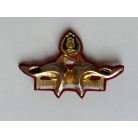 Indonesia Master Scuba Diver Selam Polri (Indonesian Police) Badge