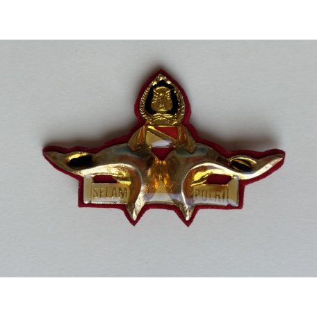 Indonesia Master Scuba Diver Selam Polri (Indonesian Police) Badge