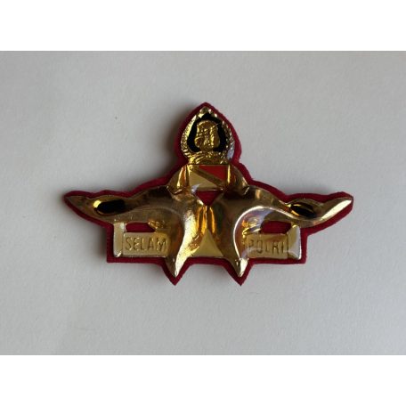 Indonesia Master Scuba Diver Selam Polri (Indonesian Police) Badge