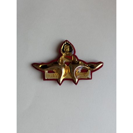 Indonesia Master Scuba Diver Selam Polri (Indonesian Police) Badge