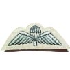   British (United Kingdom) Airborne Forces Para Wings Cloth Badge