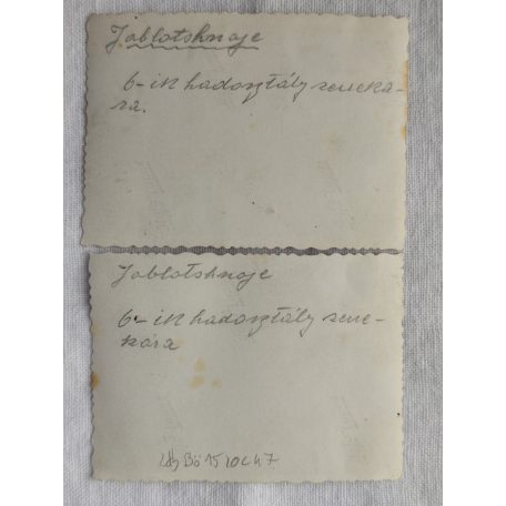 WW2 Eastern Front 6. Hungarian Army Division Donkey Marching Band original Photos 1942