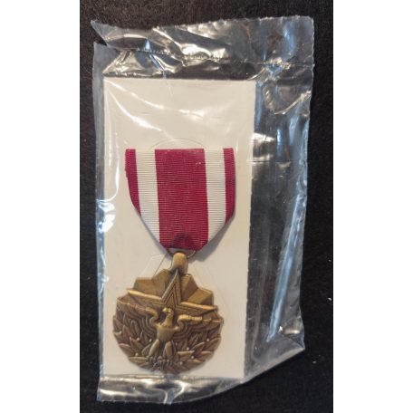 US Meritorious Service Medal MSM