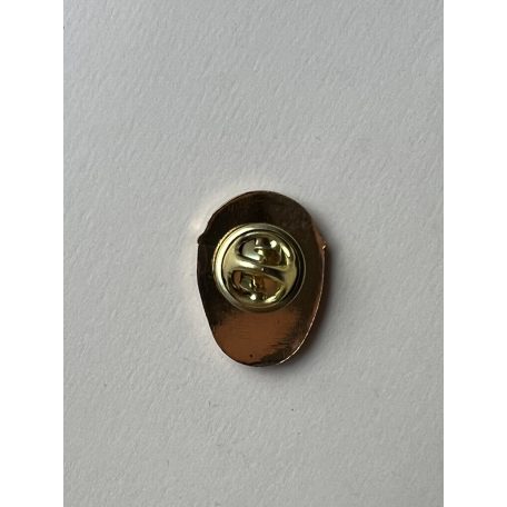 US Los Angeles Deputy Chief Pin Badge