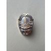 US Los Angeles Deputy Chief Pin Badge