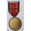 German Deployment Medal IFOR Bosnia